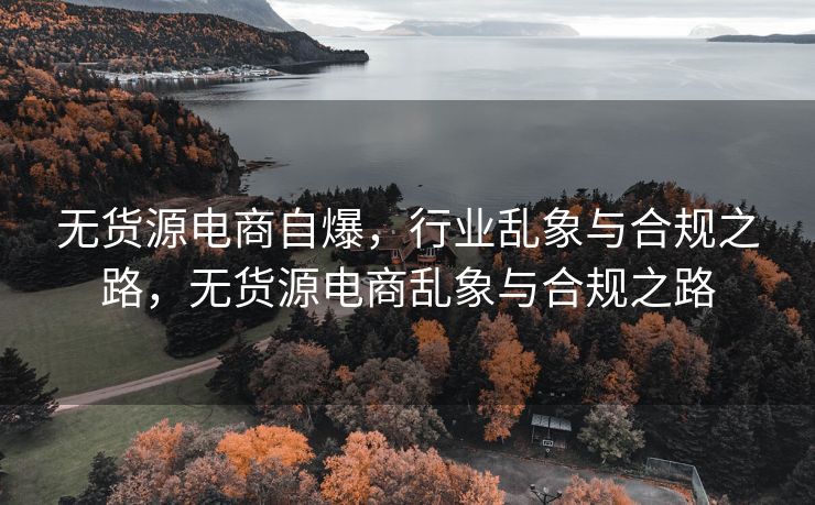 无货源电商自爆，行业乱象与合规之路，无货源电商乱象与合规之路