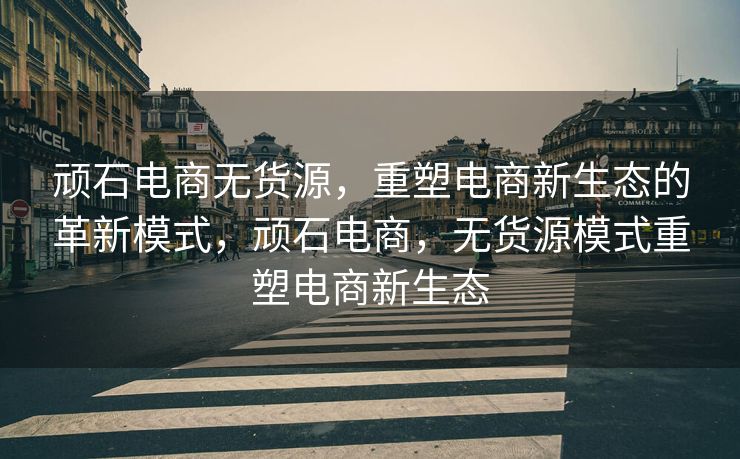 顽石电商无货源，重塑电商新生态的革新模式，顽石电商，无货源模式重塑电商新生态
