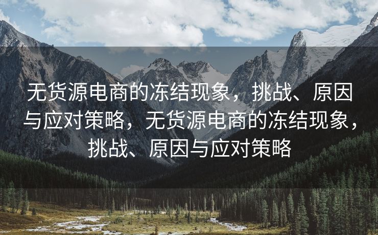 无货源电商的冻结现象，挑战、原因与应对策略，无货源电商的冻结现象，挑战、原因与应对策略