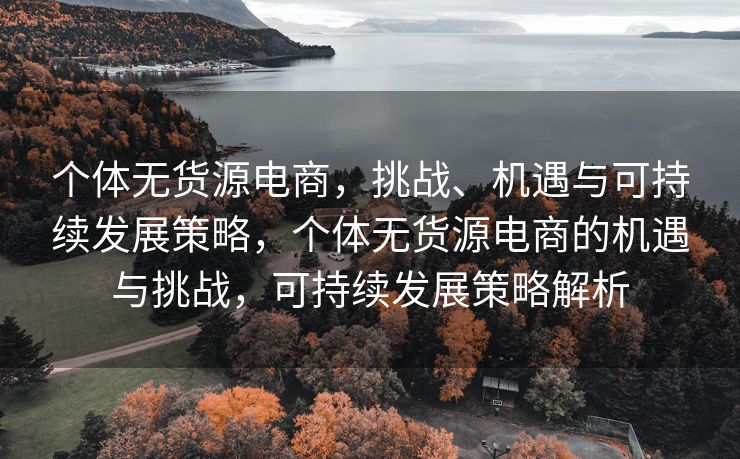 个体无货源电商，挑战、机遇与可持续发展策略，个体无货源电商的机遇与挑战，可持续发展策略解析