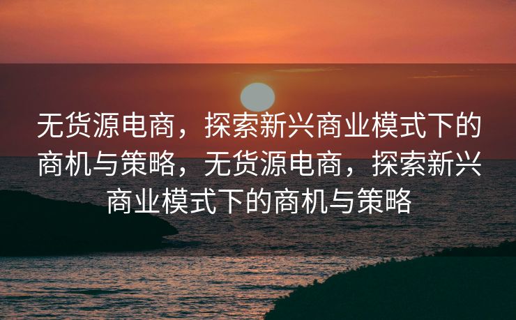 无货源电商，探索新兴商业模式下的商机与策略，无货源电商，探索新兴商业模式下的商机与策略
