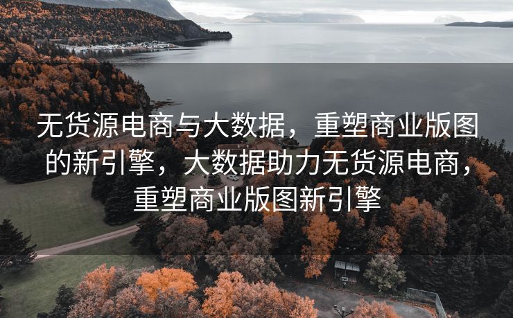 无货源电商与大数据，重塑商业版图的新引擎，大数据助力无货源电商，重塑商业版图新引擎