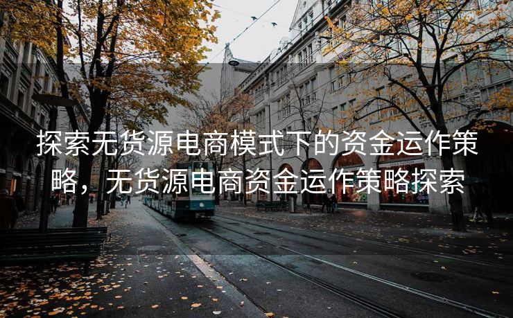 探索无货源电商模式下的资金运作策略，无货源电商资金运作策略探索