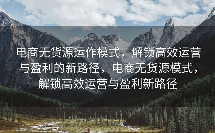 电商无货源运作模式，解锁高效运营与盈利的新路径，电商无货源模式，解锁高效运营与盈利新路径