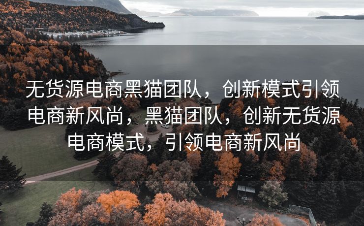 无货源电商黑猫团队，创新模式引领电商新风尚，黑猫团队，创新无货源电商模式，引领电商新风尚