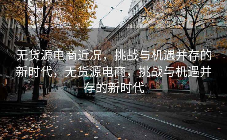 无货源电商近况，挑战与机遇并存的新时代，无货源电商，挑战与机遇并存的新时代