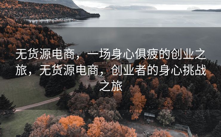 无货源电商，一场身心俱疲的创业之旅，无货源电商，创业者的身心挑战之旅