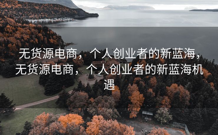 无货源电商，个人创业者的新蓝海，无货源电商，个人创业者的新蓝海机遇