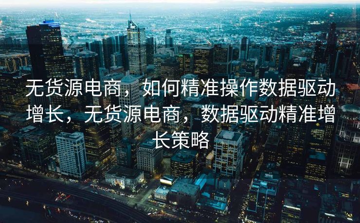 无货源电商，如何精准操作数据驱动增长，无货源电商，数据驱动精准增长策略