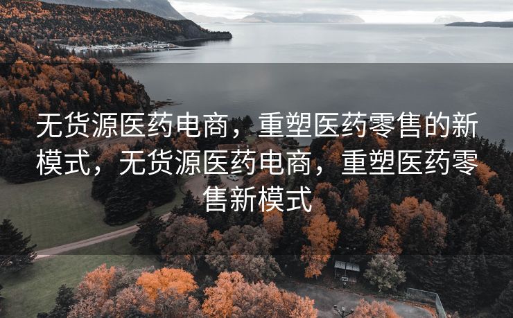 无货源医药电商，重塑医药零售的新模式，无货源医药电商，重塑医药零售新模式