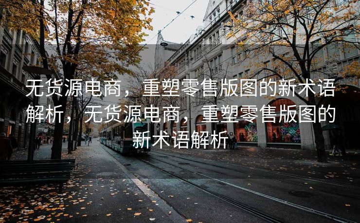 无货源电商，重塑零售版图的新术语解析，无货源电商，重塑零售版图的新术语解析