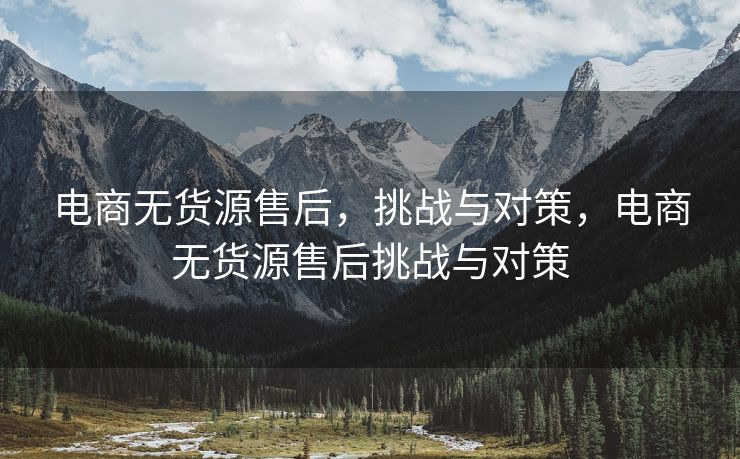 电商无货源售后，挑战与对策，电商无货源售后挑战与对策
