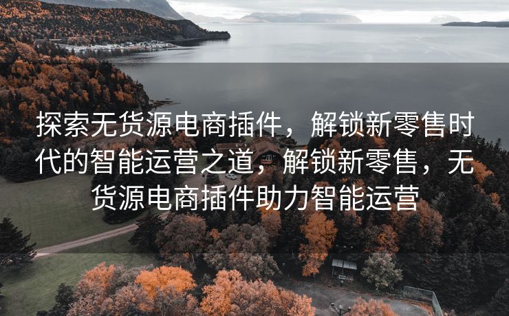 探索无货源电商插件，解锁新零售时代的智能运营之道，解锁新零售，无货源电商插件助力智能运营