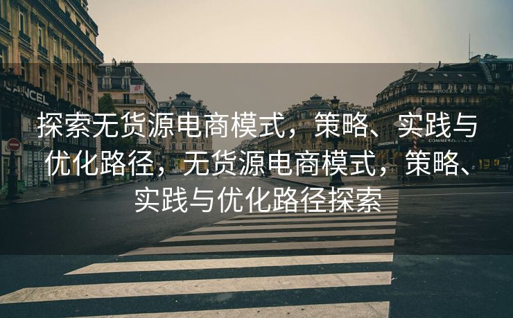探索无货源电商模式，策略、实践与优化路径，无货源电商模式，策略、实践与优化路径探索