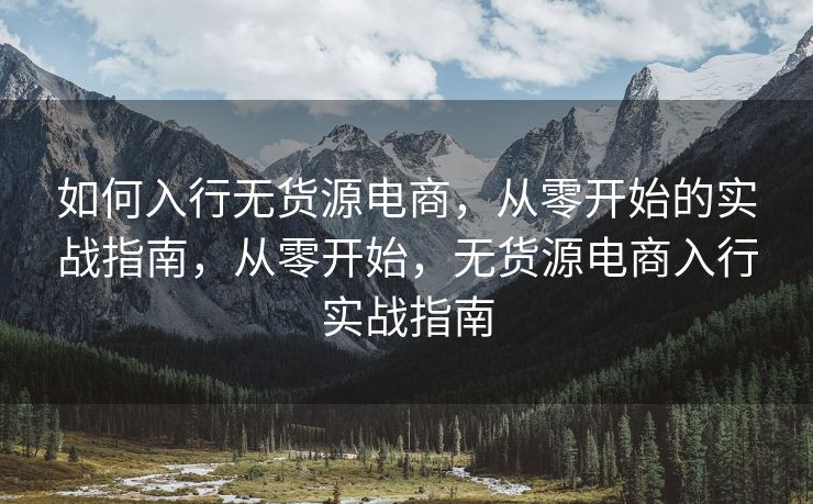 如何入行无货源电商，从零开始的实战指南，从零开始，无货源电商入行实战指南