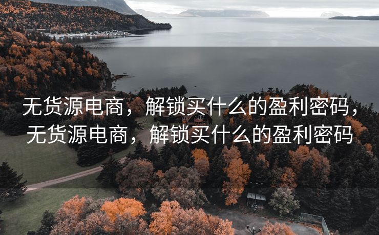 无货源电商，解锁买什么的盈利密码，无货源电商，解锁买什么的盈利密码