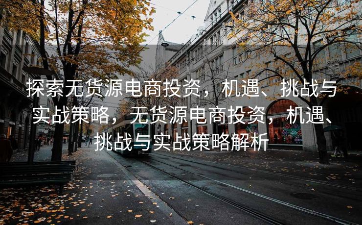 探索无货源电商投资，机遇、挑战与实战策略，无货源电商投资，机遇、挑战与实战策略解析