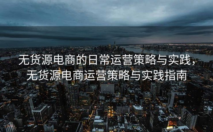 无货源电商的日常运营策略与实践，无货源电商运营策略与实践指南