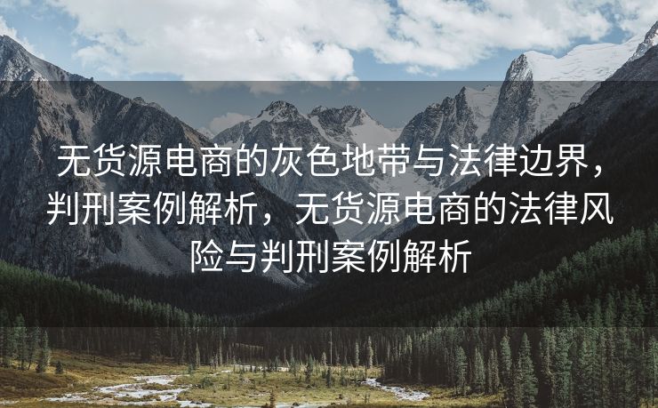 无货源电商的灰色地带与法律边界，判刑案例解析，无货源电商的法律风险与判刑案例解析