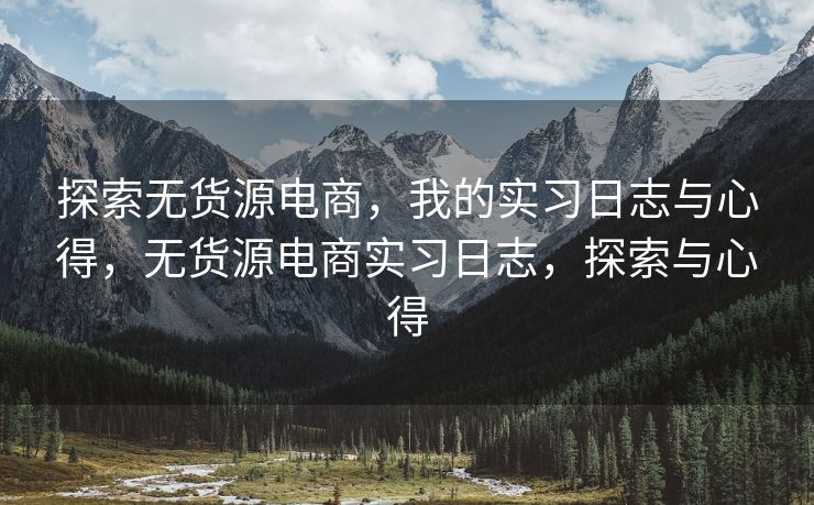探索无货源电商，我的实习日志与心得，无货源电商实习日志，探索与心得