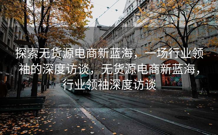 探索无货源电商新蓝海，一场行业领袖的深度访谈，无货源电商新蓝海，行业领袖深度访谈