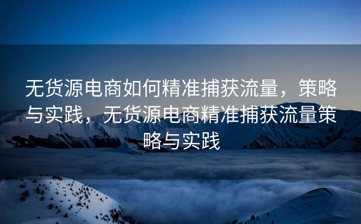 无货源电商如何精准捕获流量，策略与实践，无货源电商精准捕获流量策略与实践