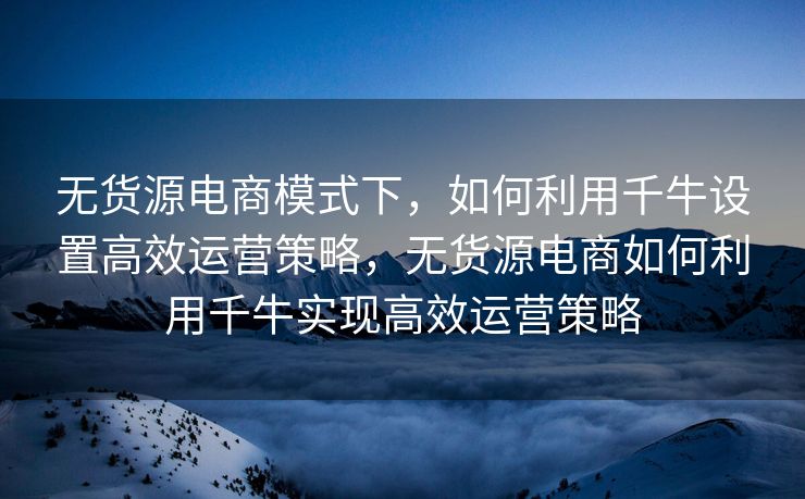 无货源电商模式下，如何利用千牛设置高效运营策略，无货源电商如何利用千牛实现高效运营策略