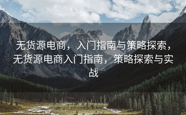 无货源电商，入门指南与策略探索，无货源电商入门指南，策略探索与实战