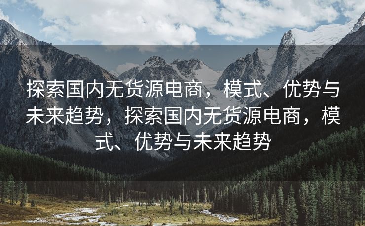 探索国内无货源电商，模式、优势与未来趋势，探索国内无货源电商，模式、优势与未来趋势
