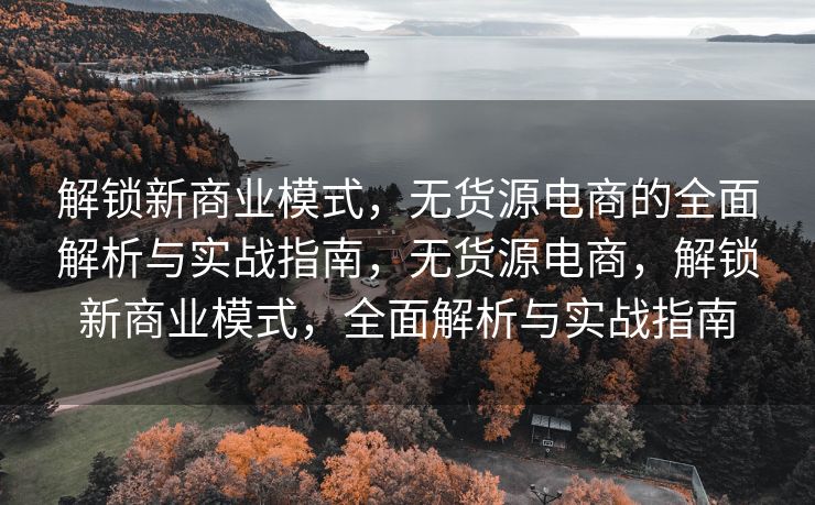 解锁新商业模式，无货源电商的全面解析与实战指南，无货源电商，解锁新商业模式，全面解析与实战指南