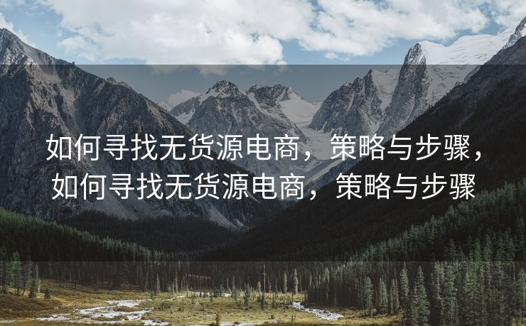 如何寻找无货源电商，策略与步骤，如何寻找无货源电商，策略与步骤