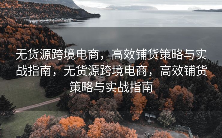 无货源跨境电商，高效铺货策略与实战指南，无货源跨境电商，高效铺货策略与实战指南
