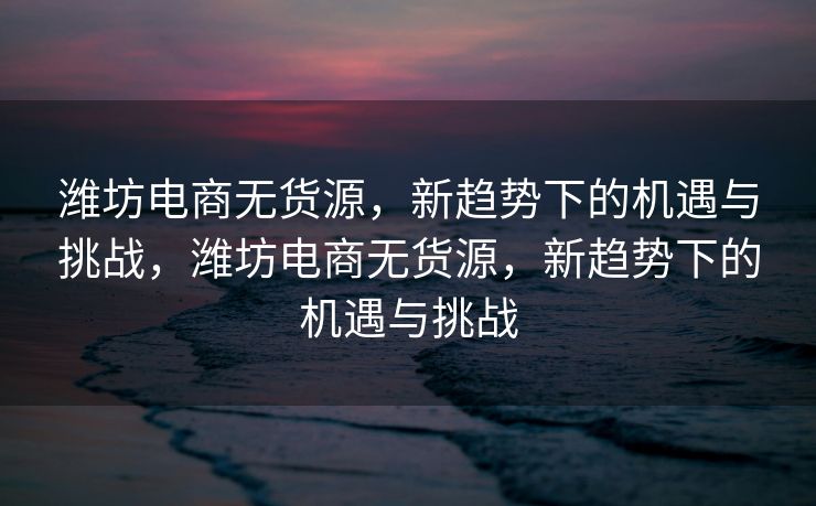 潍坊电商无货源，新趋势下的机遇与挑战，潍坊电商无货源，新趋势下的机遇与挑战