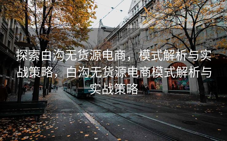 探索白沟无货源电商，模式解析与实战策略，白沟无货源电商模式解析与实战策略