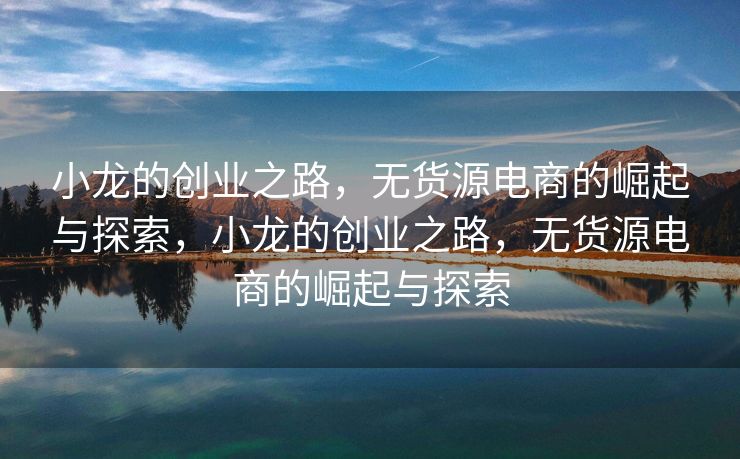 小龙的创业之路，无货源电商的崛起与探索，小龙的创业之路，无货源电商的崛起与探索