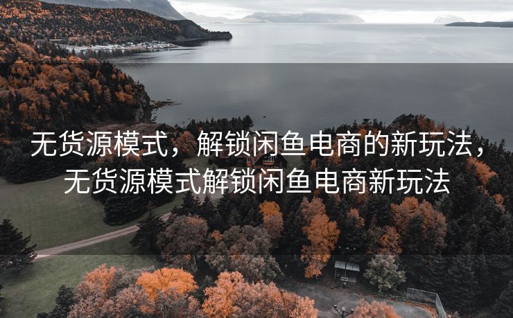 无货源模式，解锁闲鱼电商的新玩法，无货源模式解锁闲鱼电商新玩法