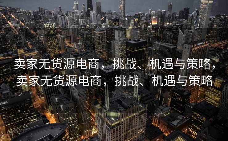 卖家无货源电商，挑战、机遇与策略，卖家无货源电商，挑战、机遇与策略