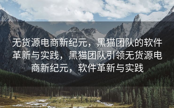 无货源电商新纪元，黑猫团队的软件革新与实践，黑猫团队引领无货源电商新纪元，软件革新与实践
