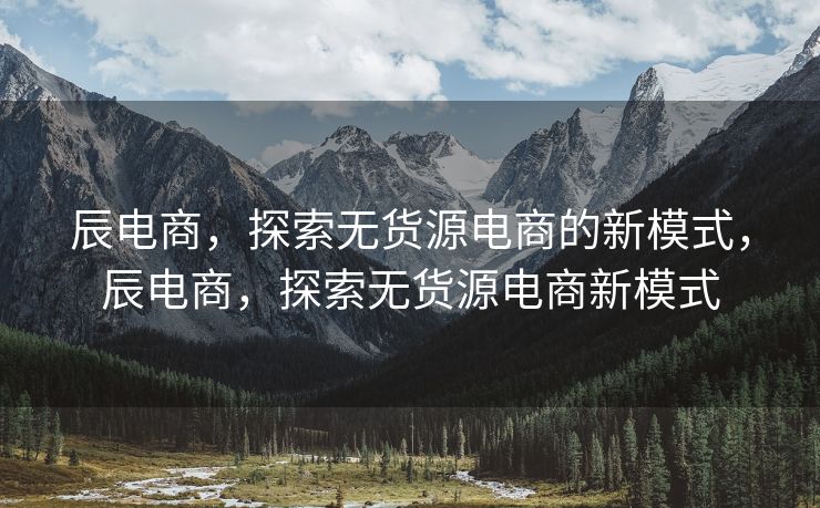 辰电商，探索无货源电商的新模式，辰电商，探索无货源电商新模式
