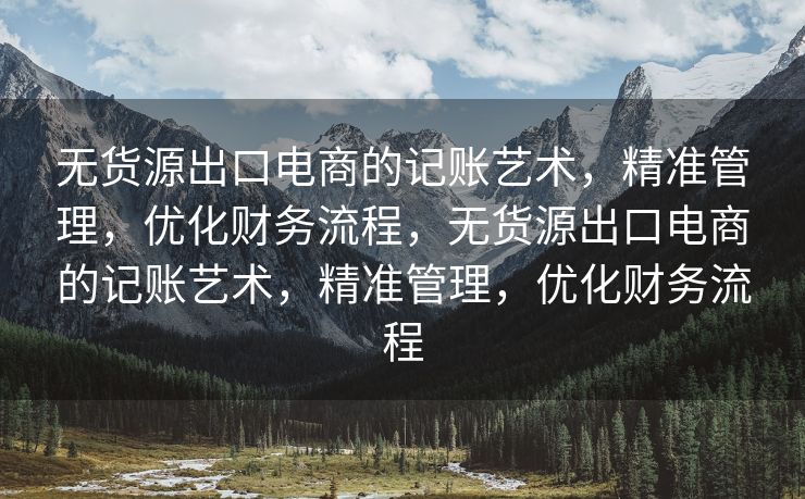 无货源出口电商的记账艺术，精准管理，优化财务流程，无货源出口电商的记账艺术，精准管理，优化财务流程