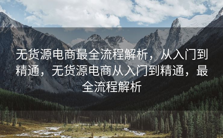 无货源电商最全流程解析，从入门到精通，无货源电商从入门到精通，最全流程解析
