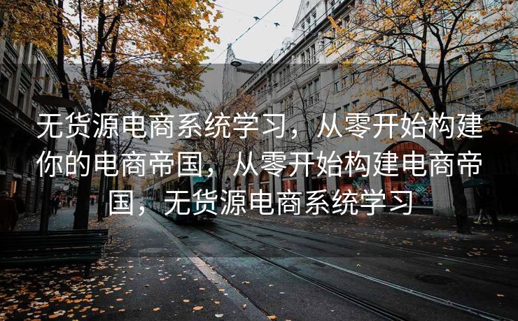 无货源电商系统学习，从零开始构建你的电商帝国，从零开始构建电商帝国，无货源电商系统学习