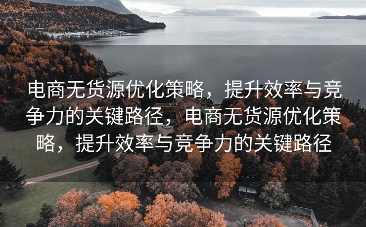 电商无货源优化策略，提升效率与竞争力的关键路径，电商无货源优化策略，提升效率与竞争力的关键路径
