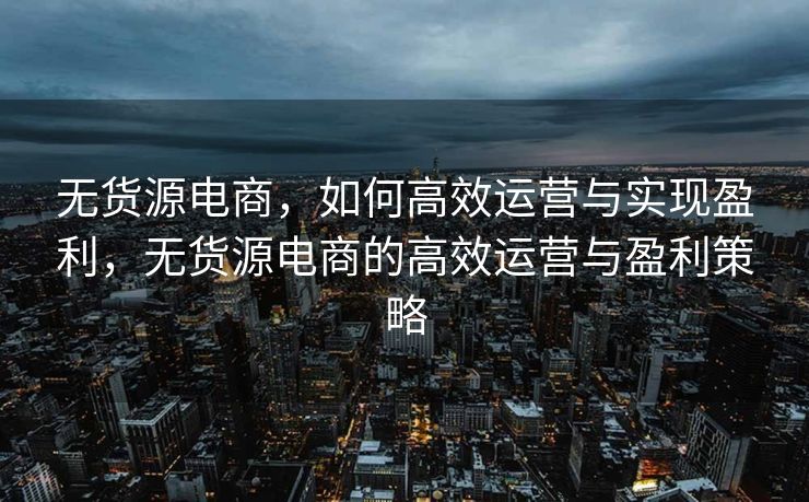 无货源电商，如何高效运营与实现盈利，无货源电商的高效运营与盈利策略