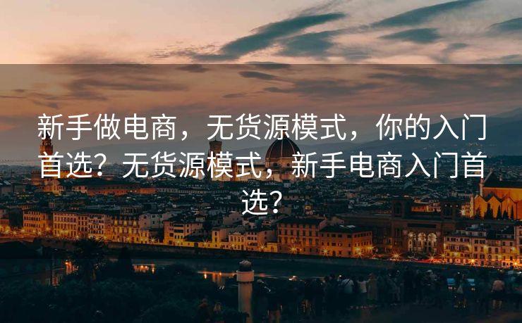 新手做电商，无货源模式，你的入门首选？无货源模式，新手电商入门首选？