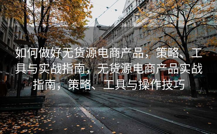 如何做好无货源电商产品，策略、工具与实战指南，无货源电商产品实战指南，策略、工具与操作技巧