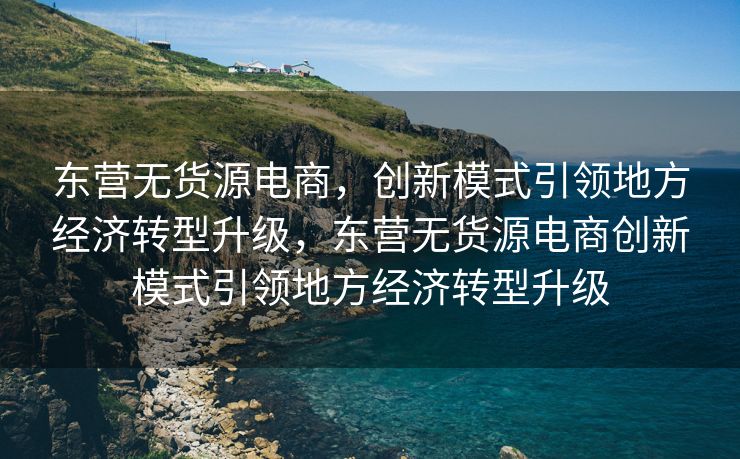 东营无货源电商，创新模式引领地方经济转型升级，东营无货源电商创新模式引领地方经济转型升级