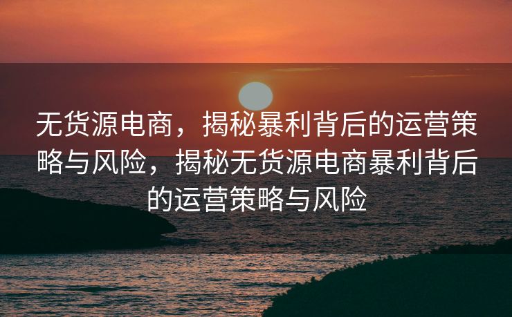 无货源电商，揭秘暴利背后的运营策略与风险，揭秘无货源电商暴利背后的运营策略与风险