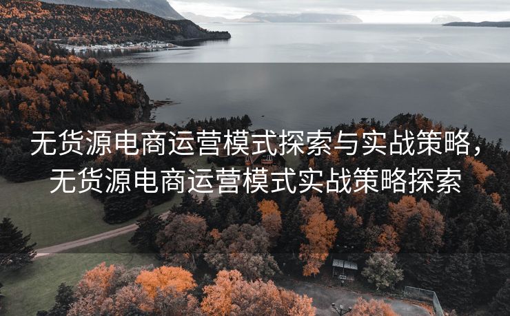 无货源电商运营模式探索与实战策略，无货源电商运营模式实战策略探索