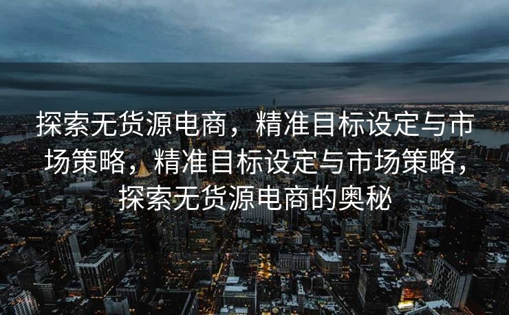探索无货源电商，精准目标设定与市场策略，精准目标设定与市场策略，探索无货源电商的奥秘